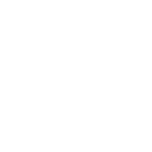 pully